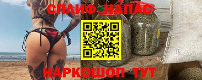 стафф Будённовск