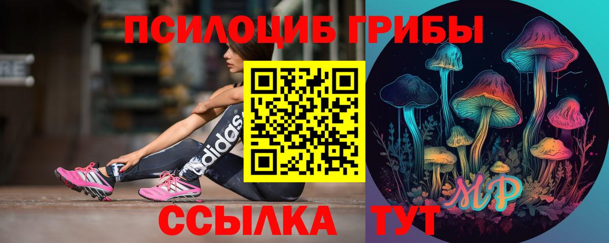 Галлюциногенные грибы Cubensis  Галлюциногенные грибы мицелий  Вход с VPN  Усинск 